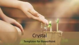  Presentation with child care - Cool new PPT layouts with environment kids - little child cares for plants backdrop and a coral colored foreground