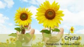  Presentation with sunflowers - Beautiful slides featuring environment kids - portrait of cute girls hiding backdrop and a yellow colored foreground