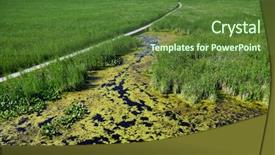  Presentation with southwestern - Beautiful PPT theme featuring environment points - view of point pelee national backdrop and a tawny brown colored foreground