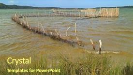  Presentation with africa - Presentation theme consisting of environment tradisition - traditional tsonga fish traps built background and a tawny brown colored foreground