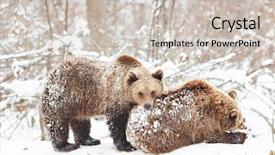  Presentation with snow - Colorful presentation theme enhanced with environment tundra - bear cubs playing in snow backdrop and a soft green colored foreground