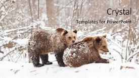  Presentation with masha and the bear - Amazing slide deck having environment tundra - bear cubs playing in snow backdrop and a soft green colored foreground