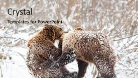  Presentation with snow - Audience pleasing PPT layouts consisting of environment tundra - bear cubs playing in snow backdrop and a light gray colored foreground