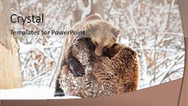  Presentation with bear mountian - Cool new PPT theme with environment tundra - bear cubs playing in snow backdrop and a mint green colored foreground