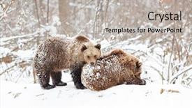  Presentation with masha and the bear - Slide set enhanced with environment tundra - bear cubs playing in snow background and a light gray colored foreground