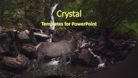  Presentation with siberia - Amazing theme having environment tundra - maral on the waterfall backdrop and a tawny brown colored foreground