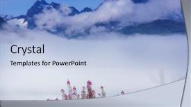  Presentation with meadow - PPT layouts consisting of environment tundra - meadow in alaska background and a  colored foreground