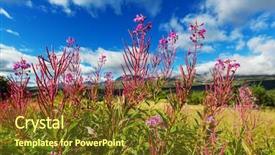  Presentation with meadow - Theme having environment tundra - meadow in alaska background and a tawny brown colored foreground