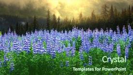  Presentation with alaska airplane - Theme with environment tundra - meadow in alaska background and a forest green colored foreground