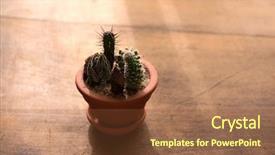  Presentation with climate change - Colorful slide deck enhanced with environment with strong sunlight climate backdrop and a tawny brown colored foreground