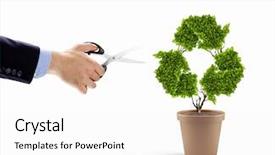  Presentation with recycle - Slides having environmental awareness recycling arrows - image of plant pot background and a  colored foreground