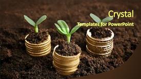  Presentation with young plant - Beautiful PPT theme featuring environmental banking - coins in soil with young backdrop and a tawny brown colored foreground