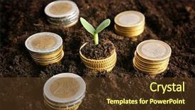  Presentation with young plant - Cool new theme with environmental banking - coins in soil with young backdrop and a tawny brown colored foreground