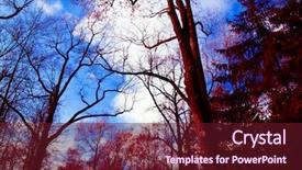  Presentation with natural - Presentation design consisting of environmental conditions - natural background natural background background and a tawny brown colored foreground