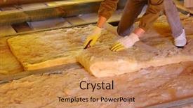  Presentation with glass construction - Slide set featuring wild parrots in the caatinga of brazil background and a tawny brown colored foreground