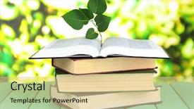  Presentation with book holy bible table - PPT theme consisting of environmental education - books with plant on table background and a lemonade colored foreground