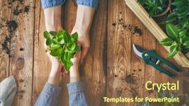  Presentation with child development - Presentation with global family - concept of generation and development background and a tawny brown colored foreground