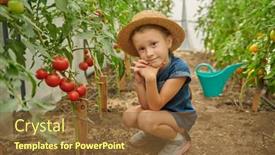  Presentation with education cute - Theme featuring environmental-education-for-kids background and a tawny brown colored foreground