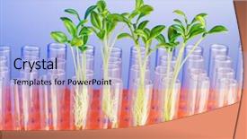  Presentation with lab - Colorful slides enhanced with environmental engineering - lab experiment with green seedlings backdrop and a light blue colored foreground