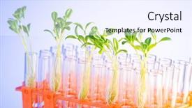  Presentation with lab - PPT layouts consisting of environmental engineering - lab experiment with green seedlings background and a sky blue colored foreground