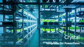  Presentation with system engineering - PPT theme featuring environmental engineering - plants are cultivated in hydroponic background and a ocean colored foreground