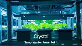  Presentation with system engineering - Beautiful PPT theme featuring environmental engineering - plants are cultivated in hydroponic backdrop and a ocean colored foreground