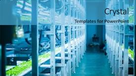  Presentation with system engineering - Audience pleasing slides consisting of environmental engineering - plants are cultivated in hydroponic backdrop and a light blue colored foreground