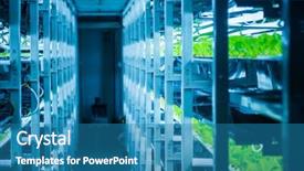  Presentation with system engineering - PPT theme having environmental engineering - plants are cultivated in hydroponic background and a teal colored foreground