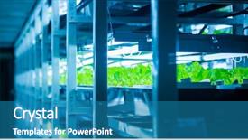  Presentation with plants - Slides enhanced with environmental engineering - plants are cultivated in hydroponic background and a teal colored foreground