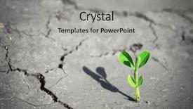  Presentation with death scene - Cool new PPT theme with environmental engineering - small sprout on death land backdrop and a light gray colored foreground