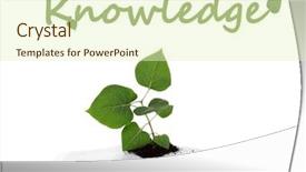  Presentation with environmental health - Amazing slide deck having environmental health - book with plant isolated backdrop and a soft green colored foreground