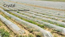  Presentation with farmland - PPT theme with environmental health - crops on farmland background and a mint green colored foreground