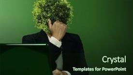  Presentation with head - PPT theme consisting of environmental health - head business trees with laptop background and a wine colored foreground