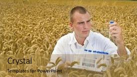  Presentation with agriculture field - Colorful theme enhanced with environmental health science - agriculture scientist examining samples backdrop and a gold colored foreground