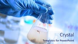  Presentation with environmental health - Cool new presentation theme with environmental health science - hand in glove holding flask backdrop and a sky blue colored foreground