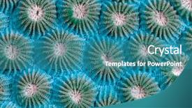  Presentation with image resolution - Colorful theme enhanced with environmental health science - high resolution close up abstract backdrop and a teal colored foreground