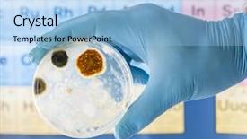  Presentation with petri dish - Presentation theme enhanced with environmental health science - mold growing in a petri background and a light blue colored foreground