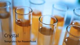  Presentation with water science - Colorful PPT theme enhanced with environmental health science - test tubes with contaminated water backdrop and a coral colored foreground