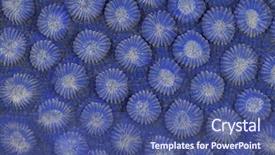  Presentation with image resolution - Slides with abstract image of a virus background and a ocean colored foreground