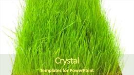  Presentation with repair - Presentation theme enhanced with grassy meadow - fresh grass growing from soil background and a tawny brown colored foreground