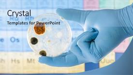  Presentation with petri dish - Slides consisting of air bacteria - mold growing in a petri background and a light blue colored foreground