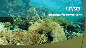  Presentation with fishing net - PPT theme featuring environmental problem - abandoned fishing net background and a teal colored foreground