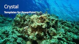 Presentation with environmental pollution - Beautiful presentation featuring environmental problem - dead coral reef backdrop and a ocean colored foreground