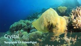  Presentation with plastic bag - Slide set consisting of environmental problem - plastic bag polluting background and a ocean colored foreground