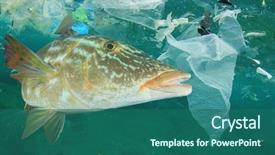  Presentation with ocean pollution - Amazing slide deck having environmental problem - plastic pollution backdrop and a ocean colored foreground