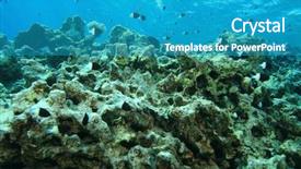 Presentation with coral reef - Beautiful PPT layouts featuring environmental problem dead coral reef backdrop and a teal colored foreground