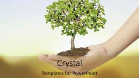  Presentation with hands holding a tree - Cool new presentation with environmental protection - human hands holding a tree backdrop and a  colored foreground