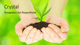  Presentation with green ivy plant hedera helix - Beautiful theme featuring environmental protection - plant in female hands backdrop and a  colored foreground