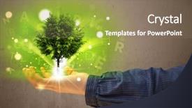  Presentation with tree - Slides featuring santa claus sleigh and two background and a wine colored foreground