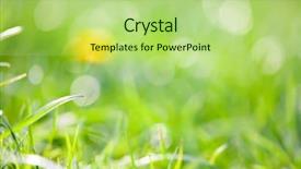  Presentation with mindfulness green - Theme having environmental psychology - green grass with very shallow background and a mint green colored foreground